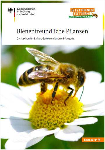 Bienenfreundliche Pflanzen