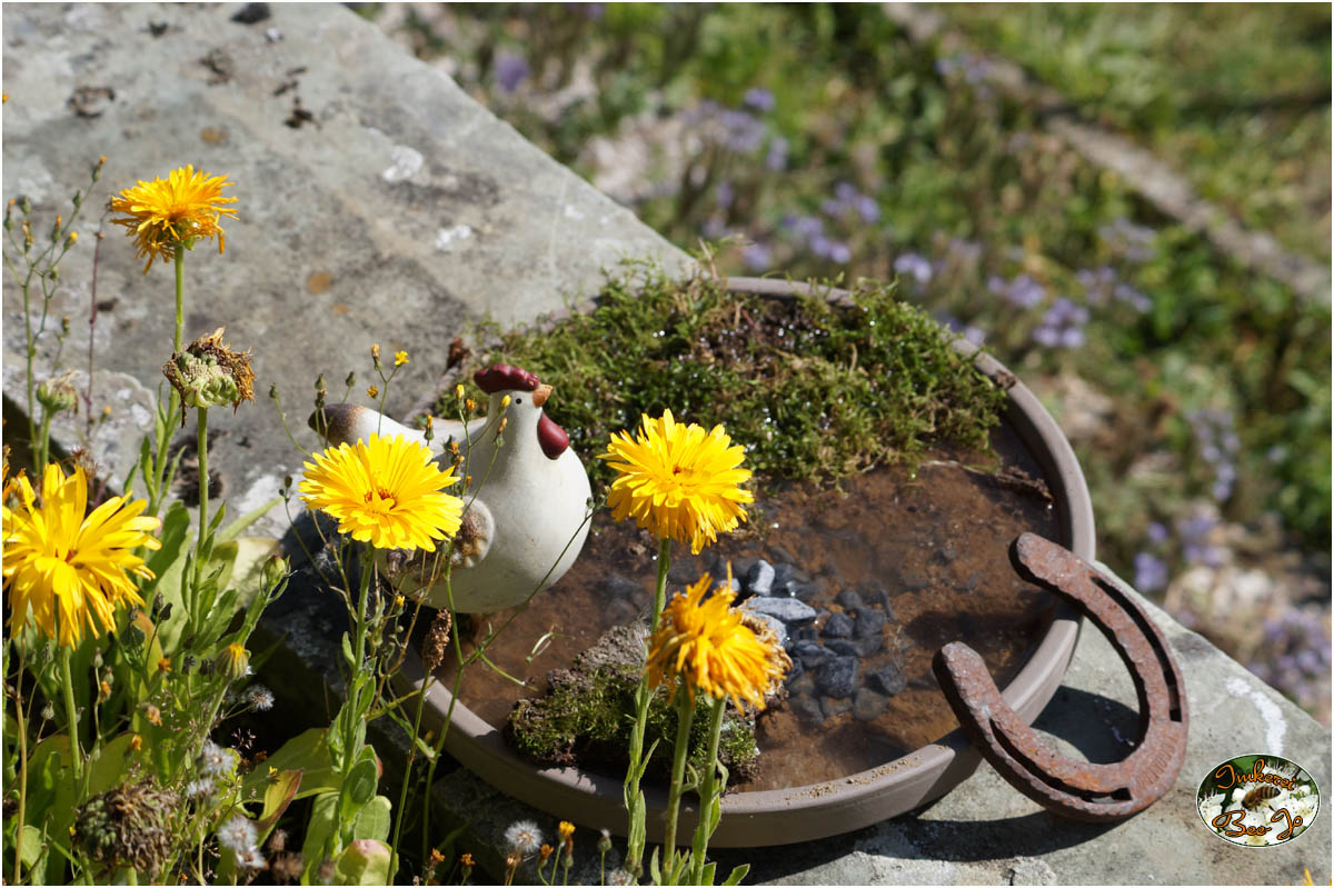 Insektentränke Blumentopfuntersetzer